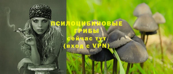 соль курить ск Богородск
