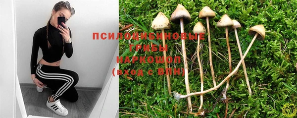 индика Аркадак