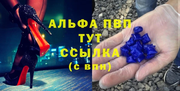стаф Богородицк