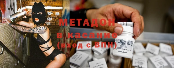 индика Аркадак