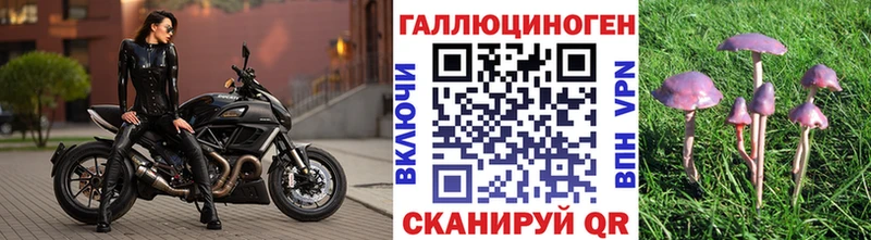 Купить закладки  Луховицы  Псилоцибиновые грибы Psilocybe 